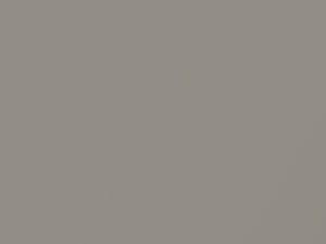 Toyota All Models Beige Metallic/Sand Castle Metallic 2002 4R0
