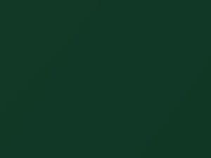 Lotus All Models Racing Green Metallic 2001 B86