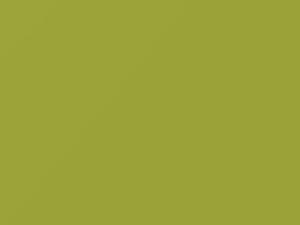 Mitsubishi All Models Light Yellow 2009 Y11 - Scratch Repair