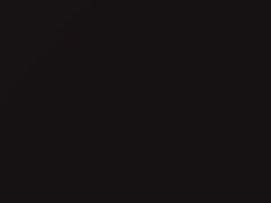 BMW 7 Series Sonderlackierung Metallic 2008 490 - Scratch Repair