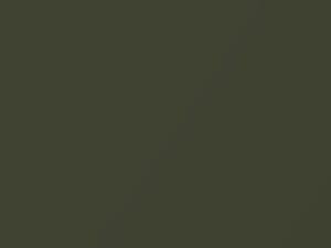 Nissan Pathfinder Armada Canteen Metallic 2004 D13 - Scratch Repair