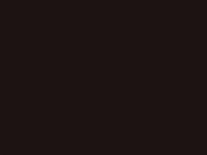 Lexus SC430 Tigereye Mica 2007 4T2 - Scratch Repair