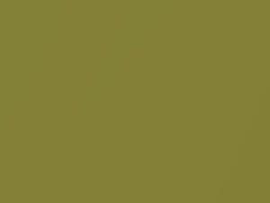 Chevrolet All Models Citrus Green Metallic 1970 4006, 43, WA4006
