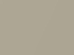Chrysler All Models Oyster Gold Metallic 2008 678, DTB, PTB