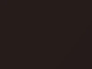 Kia Venga Mocha Brown Metallic 2010 WC