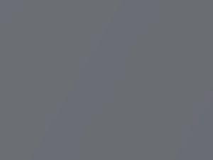 Toyota All Models Twilight Gray Mica 2009 1G8