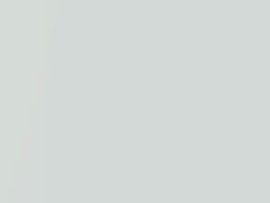 Nissan All Models Alpine White Pearl 2001 QV2 - Scratch Repair