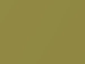 Daihatsu All Models Greenish Gold Metallic 2008 G46