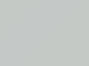 Chevrolet All Models Blue White 1998 50, 8624, WA8624