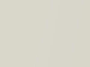 Honda Fit New White Pearl 2015 NH717P - Scratch Repair