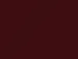 Nissan All Models Burgundy Metallic/Red Gp Metallic 2002 AX0