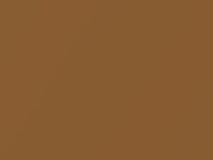 Nissan All Models Brown Metallic 2009 CAC - Scratch Repair