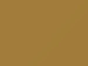 Ford All Models Inca Gold 1959 4, M20J641
