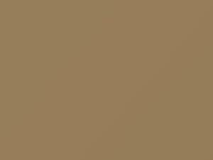 Dodge All Models Light Beige 1965 AAY1T1, X - Scratch Repair