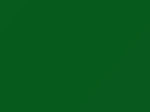 Isuzu Npr Medium Duty Sunbelt Green 2005 989, G021P801-0