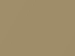 Chrysler All Models Cinnamon Gold Metallic/Spice Gold Metallic 1967 CAY2Y4, Z