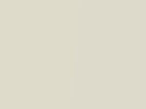 Toyota All Models White Pearl/White Pearl Mica 1991 51