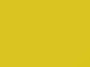 Chevrolet Express Yellow 2018 478G, WA478G