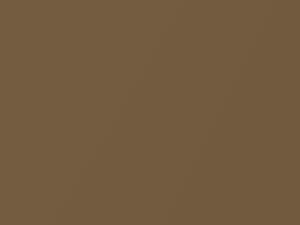 Chevrolet All Models Sierra Tan Metallic 1965 3310, S, WA3310 - Scratch Repair