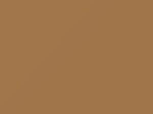 Chrysler All Models Light Tan 1979 44