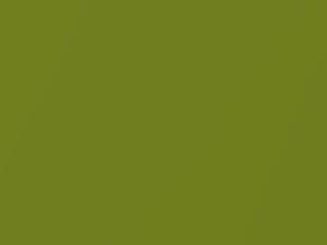 Chrysler All Models New Bright Green Metallic 1980 G80