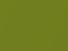 Chrysler All Models New Bright Green Metallic 1980 G80