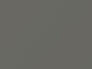 Isuzu All Models Light Gray 1981 00088P1