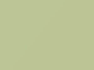 Toyota All Models Light Green 2009 6V3