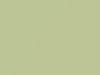 Toyota All Models Light Green 2009 6V3