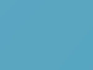 Fiat All Models Light Blue 1973 452