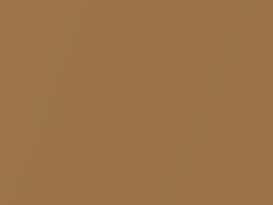 Nissan All Models Light Brown Metallic 2009 C51