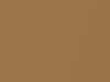 Nissan All Models Light Brown Metallic 2009 C51