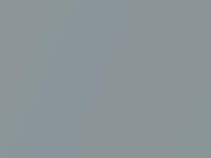 Buick All Models Newport Gray Metallic/Silver Mist Metallic 1960 2659, D, WA2659