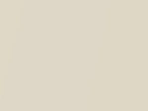 Ford All Models Performance White Pearl 1995 6669, M6669A, WB, WR - Scratch Repair