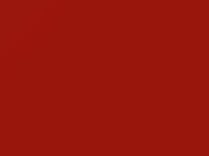 Fiat All Models Rosso 2011 159A
