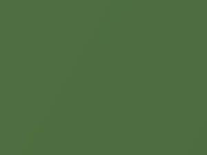 Ford Focus Apple Metallic 2006 665, 6HTE, 6HTEWWA - Scratch Repair