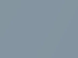 BMW All Models Silverstone Metallic 2005 425