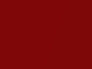 Subaru All Models Splash Red Pearl 2009 D1B