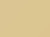 Fiat All Models Beige Astral 2011 32