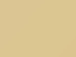 Fiat All Models Beige Astral 1995 32 - Scratch Repair