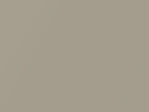 Nissan All Models Sunlit Sand Metallic 2011 EV0 - Scratch Repair