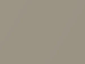 Nissan All Models Sahara Beige Metallic 1999 CR0 - Scratch Repair