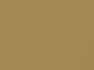 Pontiac All Models Solar Gold Metallic 1978 50, 8063, WA8063
