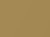 Pontiac All Models Solar Gold Metallic 1978 50, 8063, WA8063