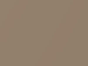 Chevrolet All Models Satin Beige Metallic 2002 233L, 63U, WA233L - Scratch Repair