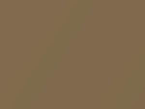 Nissan All Models Gold Metallic 2006 C20 - Scratch Repair