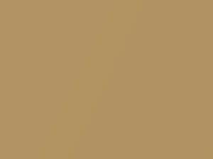 Mini All Models Sienna Gold Metallic 2001 859