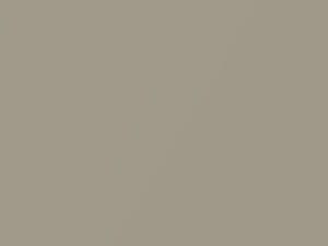 Kia All Models Cream Gold Mica 2005 D8