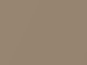 Hyundai H200 Pear Beige Metallic 2000 BA - Scratch Repair