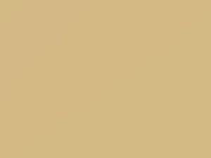 Fiat All Models Beige 1996 216, 216F, 283